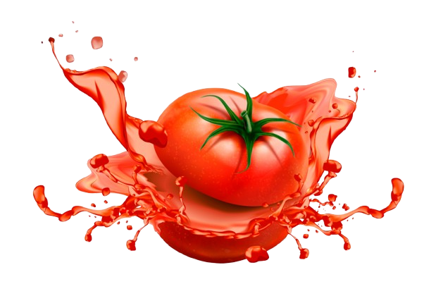 Ginsoy%20Canada